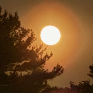 MDI: James Bond’s Summer Place